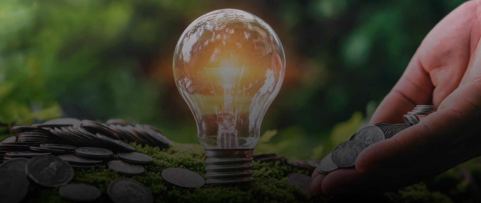 Detox Financiero, Finanzas Personales