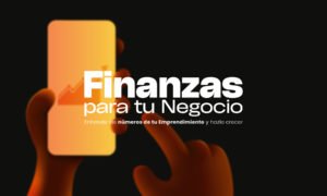 Finanzas para tu Negocio